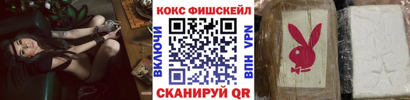 Cocaine Эквадор  площадка какой сайт  Кашин 