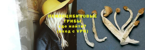 прущие грибы Алексеевка
