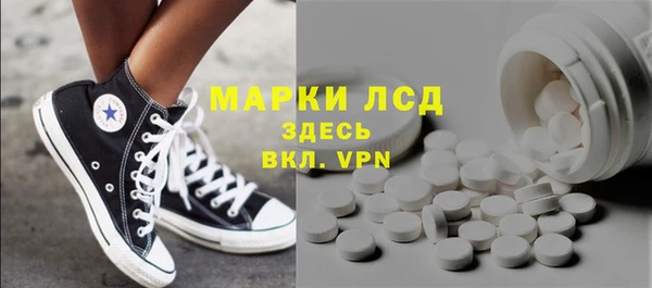 прущий лед Алзамай