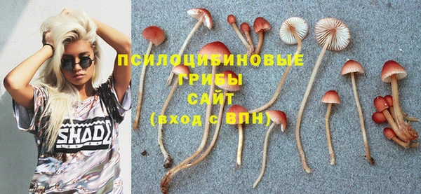 прущие грибы Алексеевка