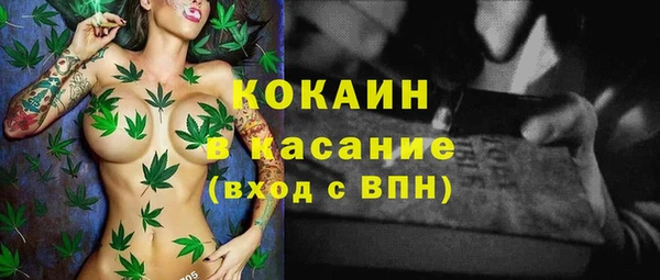 прущий лед Алзамай