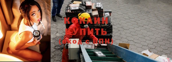 прущий лед Алзамай