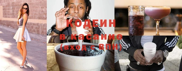 прущий лед Алзамай