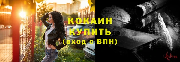 прущий лед Алзамай